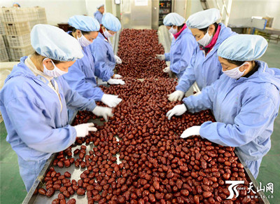 新疆阿拉爾墾區(qū) 紅棗嚴(yán)格分級打造品牌，助推農(nóng)副產(chǎn)品升級