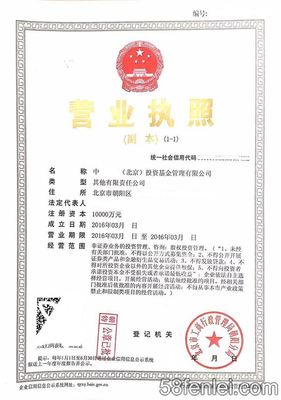 【圖】企業(yè)成立集團后的影響,成立集團公司的條件,朝陽公司注冊 - 58分類網